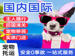 桃仙机场托运国际宠物托运 【国